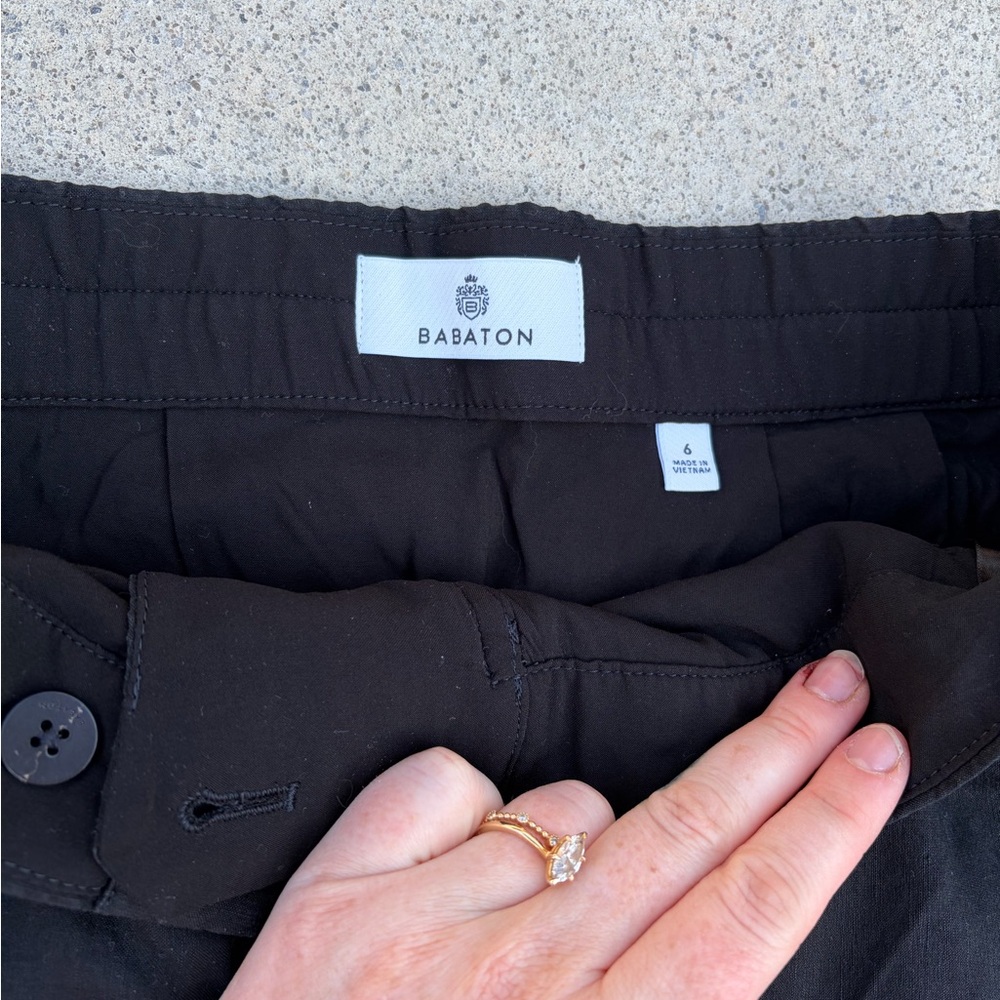 Babaton Black skirt